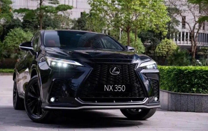 Audi Q5 2026 vs Lexus NX350: Sự Lựa Chọn Giữa Triết Lý Đức Và Tinh Thần Nhật