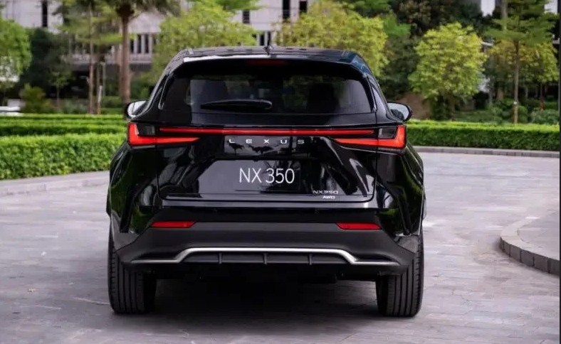 Audi Q5 2026 vs Lexus NX350: Sự Lựa Chọn Giữa Triết Lý Đức Và Tinh Thần Nhật